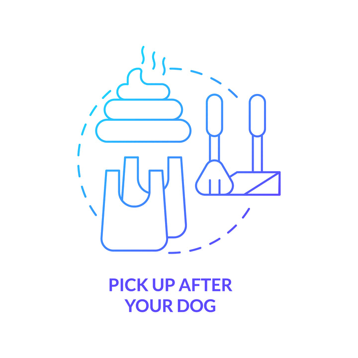 Road trip tips concept icons bundle