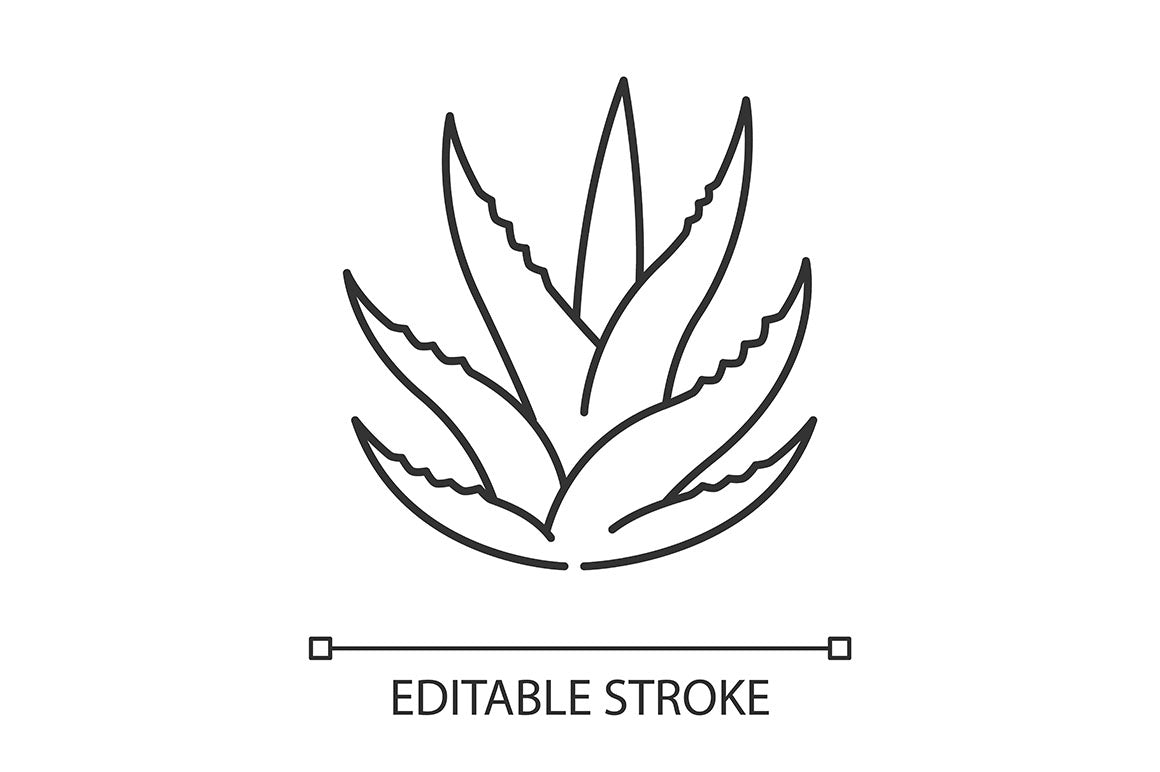 Aloe vera pixel perfect linear icons set