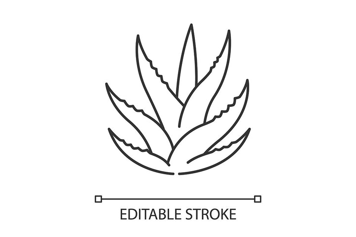 Aloe vera pixel perfect linear icons set