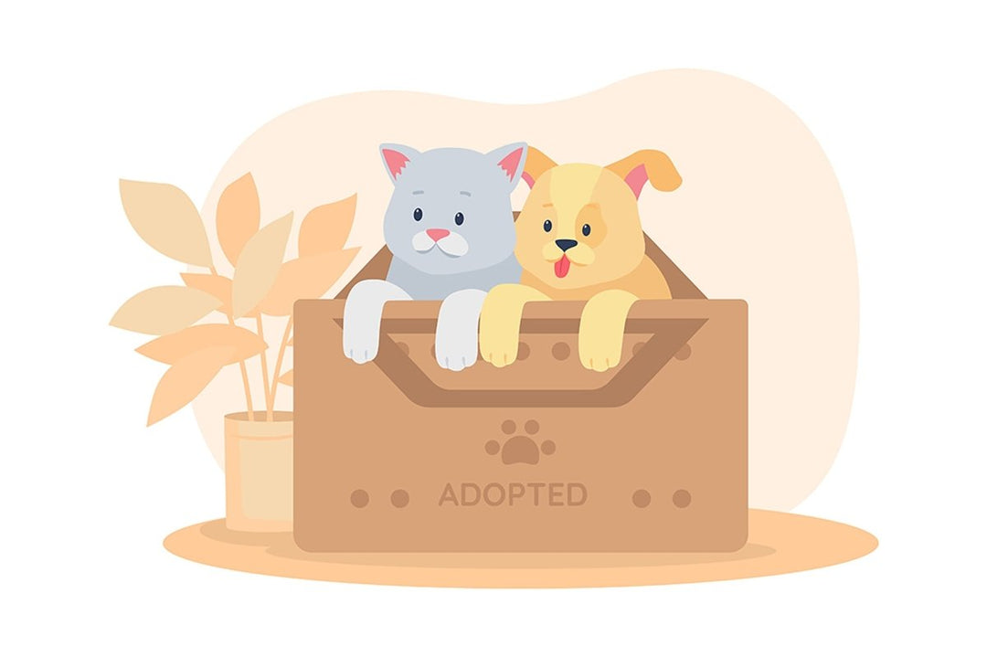 Adopting pets flat color vector illustrations