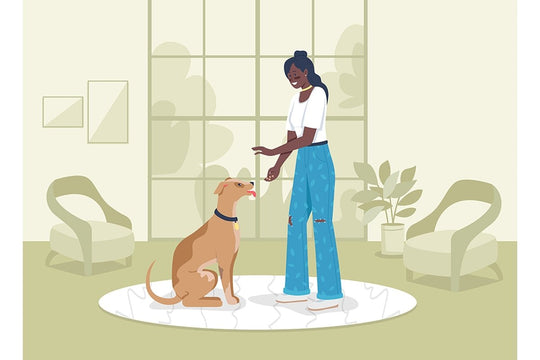 Adopting pets flat color vector illustrations