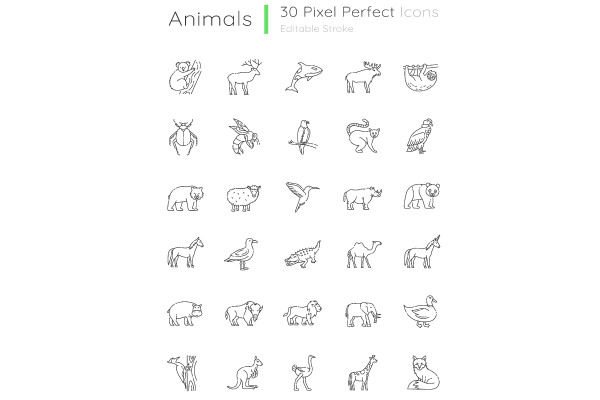 Animals pixel perfect linear icons set