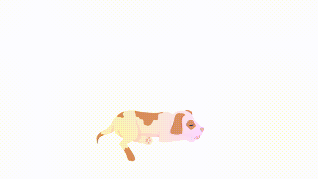 Animated sleeping dog character. Full body flat animal 4k video footage with alpha channel. Dreaming about bones. Color cartoon style illustration for motion graphic design and animation