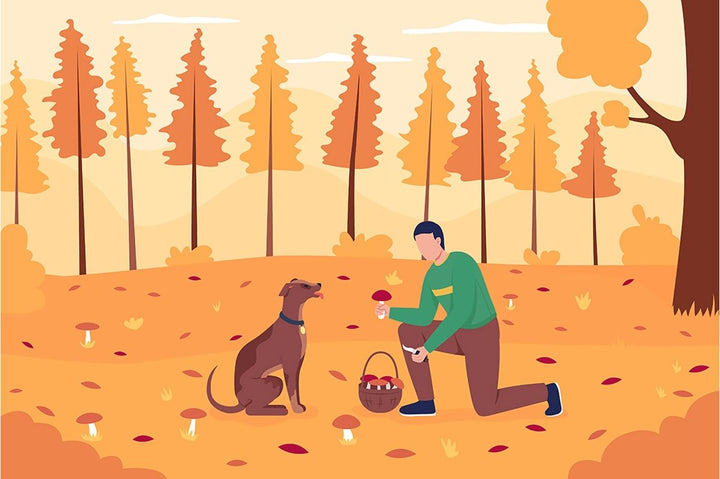 Autumn activities for couples character bundle