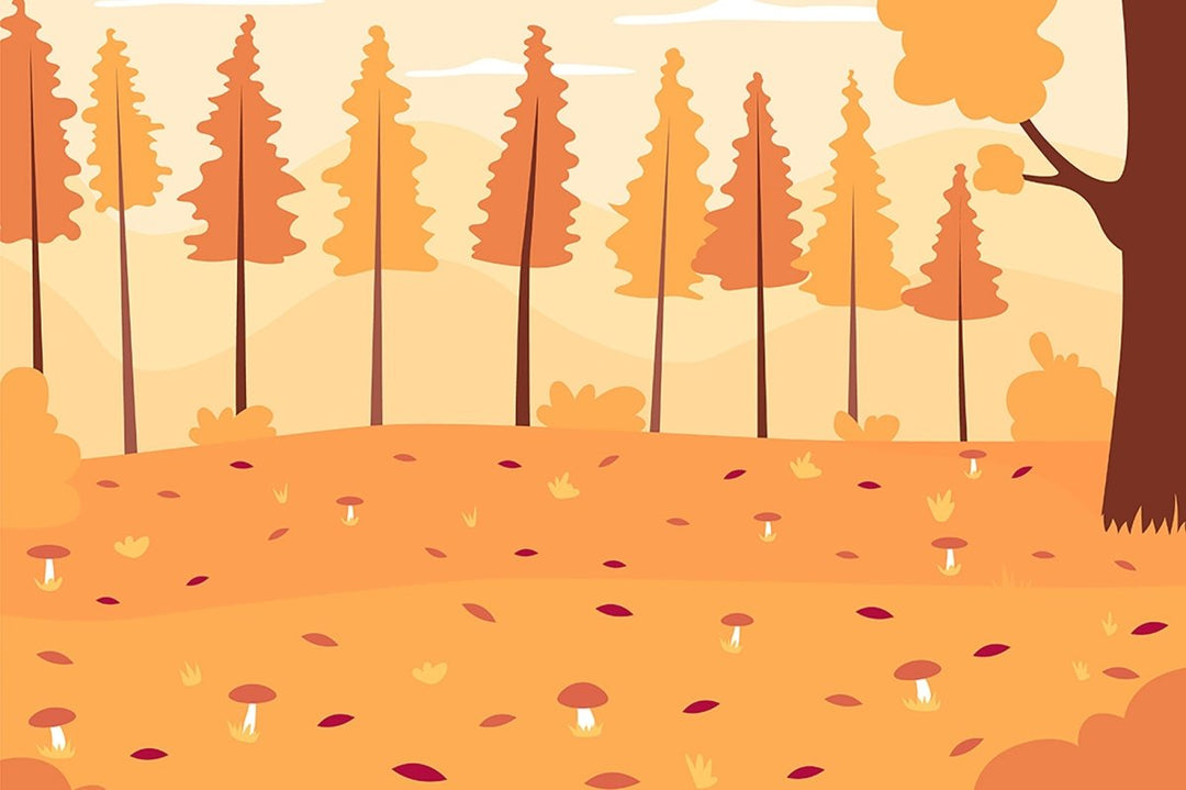 Autumn camping flat color vector illustration set