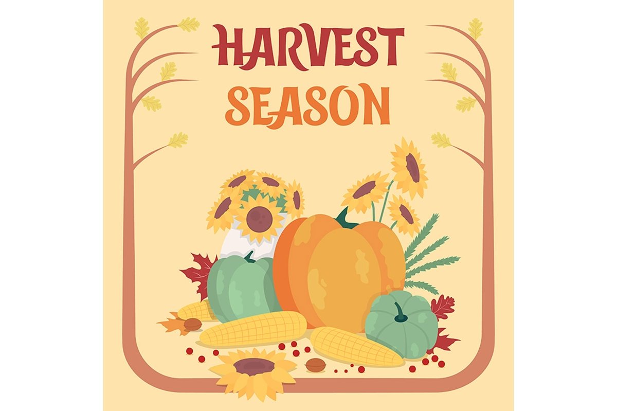 Autumn social media cards mockup set