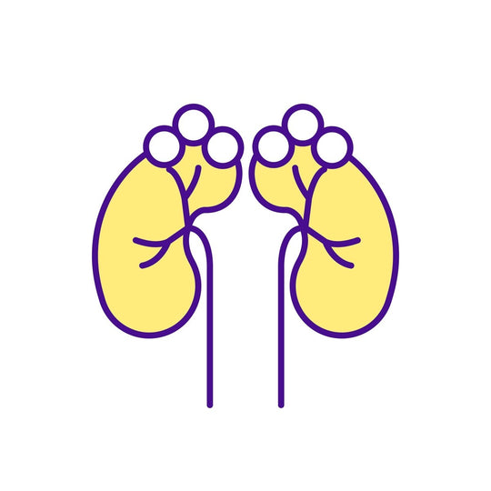Buying medicine online RGB color icons set