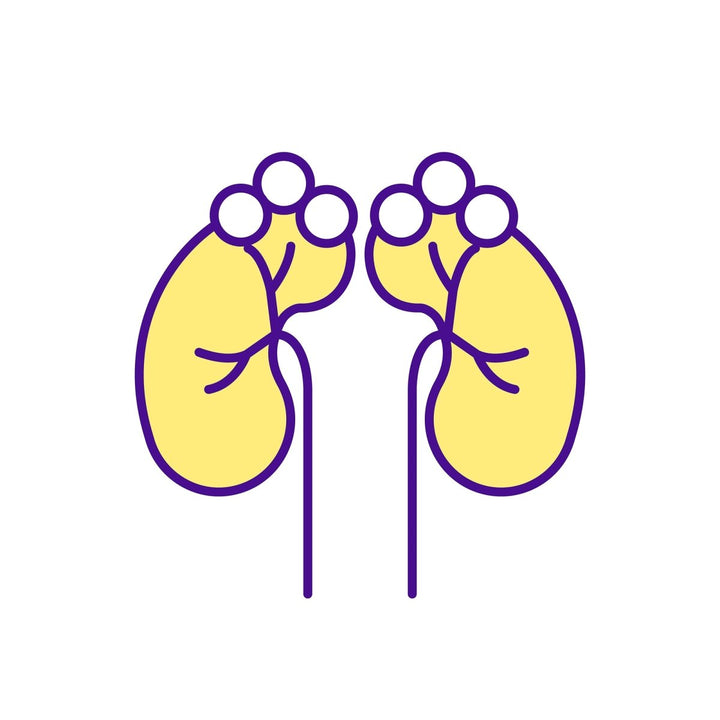 Buying medicine online RGB color icons set