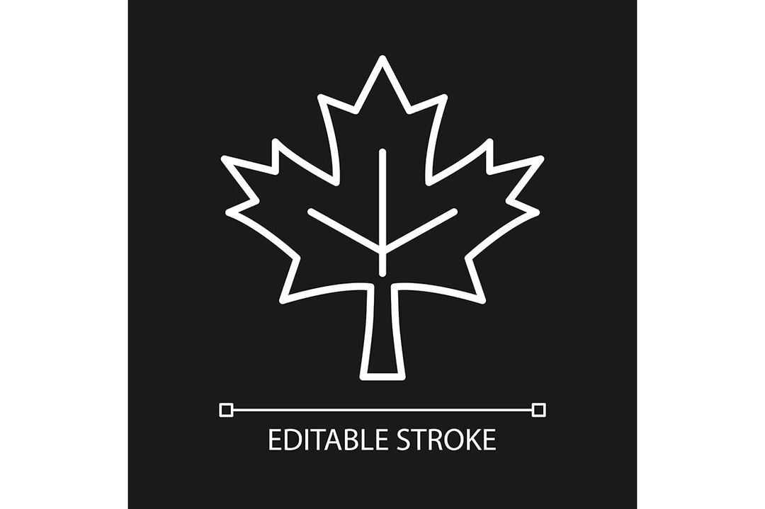 Canadian symbols linear icons set for dark and light modes set