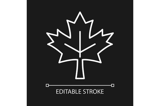 Canadian symbols linear icons set for dark and light modes set