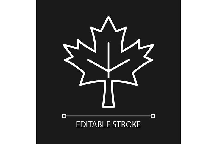 Canadian symbols linear icons set for dark and light modes set