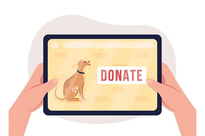 Charity 2D vector isolated illustration set