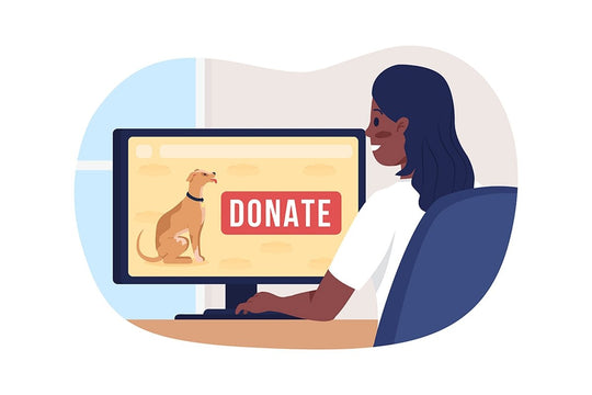 Donation vector illustration set