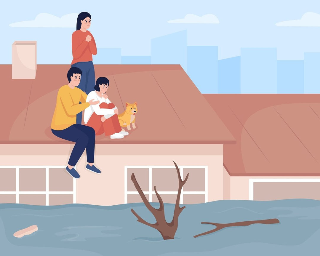 Family trapped on rooftop during flood flat color vector illustrations set