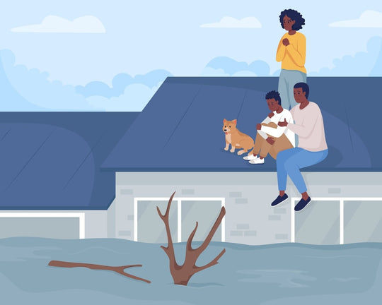Family trapped on rooftop during flood flat color vector illustrations set