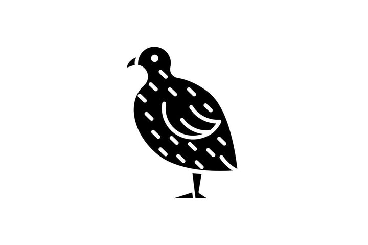 Farm birds for poultry black glyph icons set