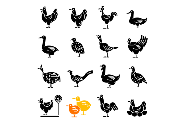 Farm birds for poultry black glyph icons set
