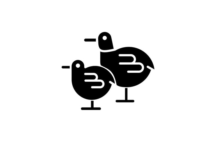 Farm birds for poultry black glyph icons set