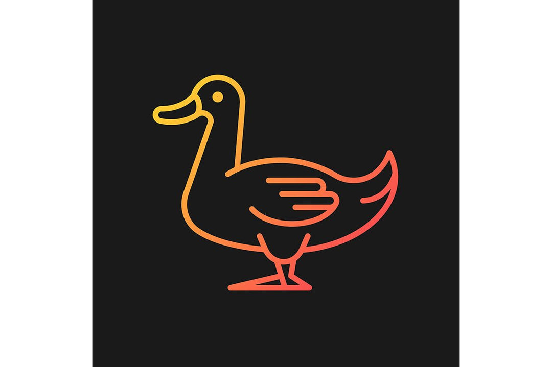 Farm birds for poultry gradient icons set for dark and light mode