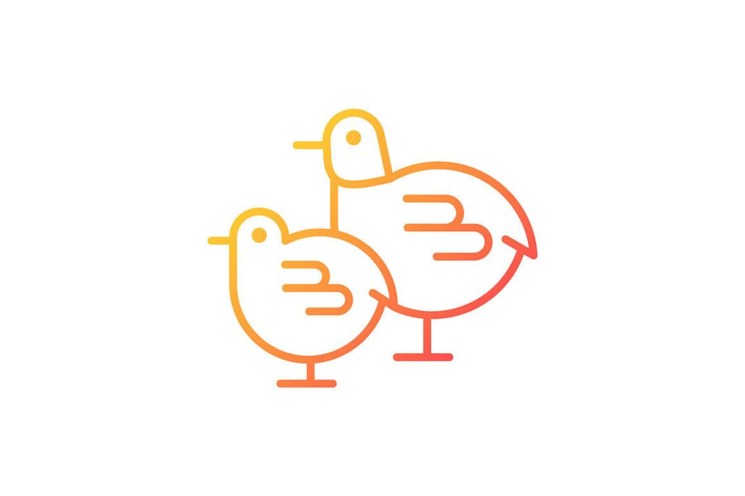 Farm birds for poultry gradient icons set for dark and light mode