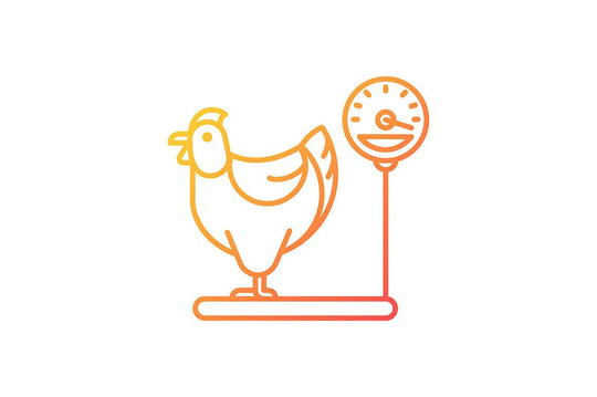 Farm birds for poultry gradient icons set for dark and light mode