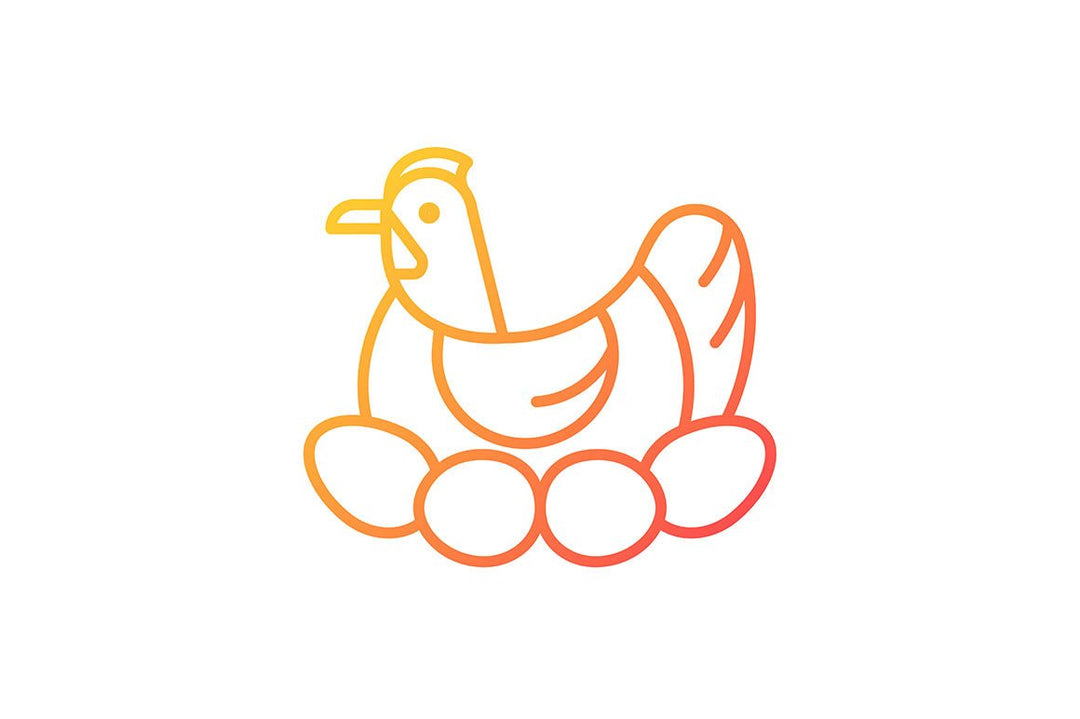 Farm birds for poultry gradient icons set for dark and light mode