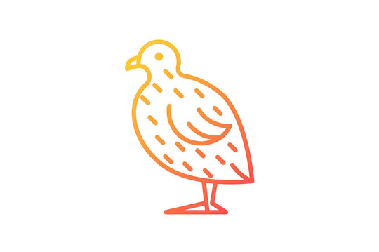 Farm birds for poultry gradient icons set for dark and light mode