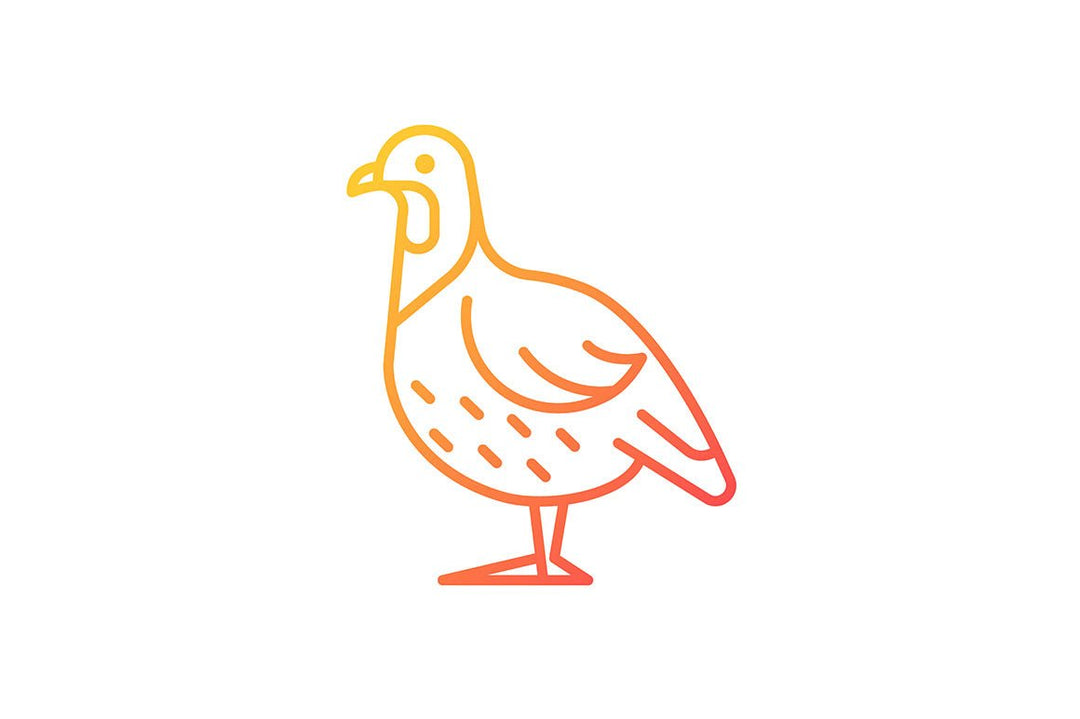 Farm birds for poultry gradient icons set for dark and light mode