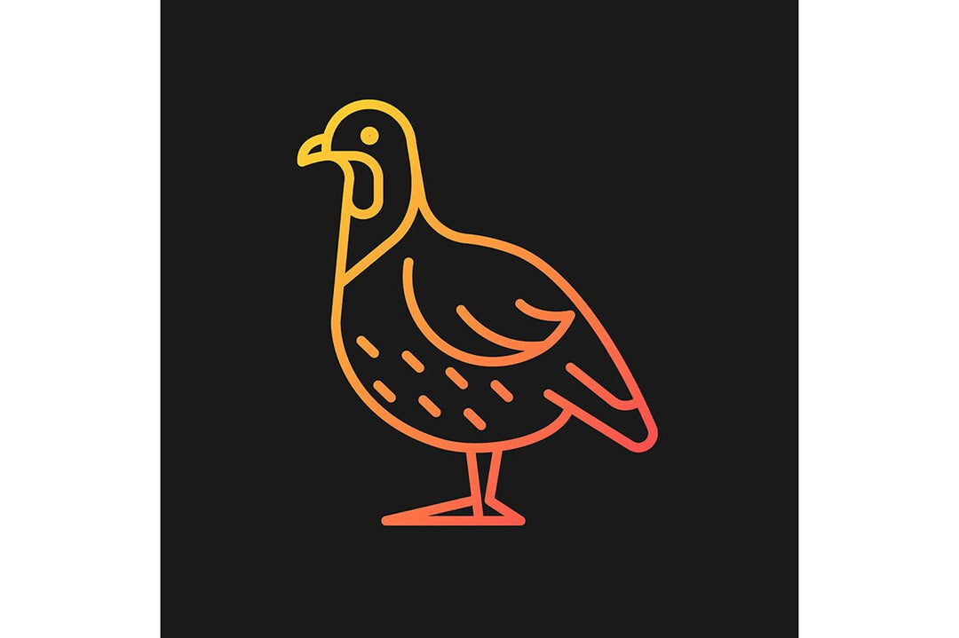 Farm birds for poultry gradient icons set for dark and light mode