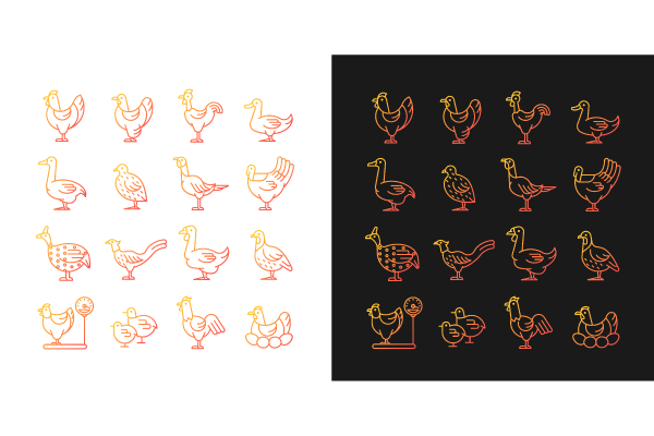 Farm birds for poultry gradient icons set for dark and light mode