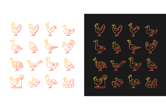 Farm birds for poultry gradient icons set for dark and light mode