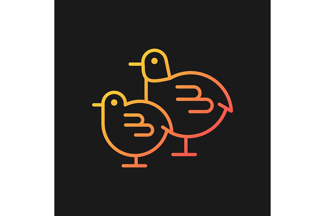 Farm birds for poultry gradient icons set for dark and light mode