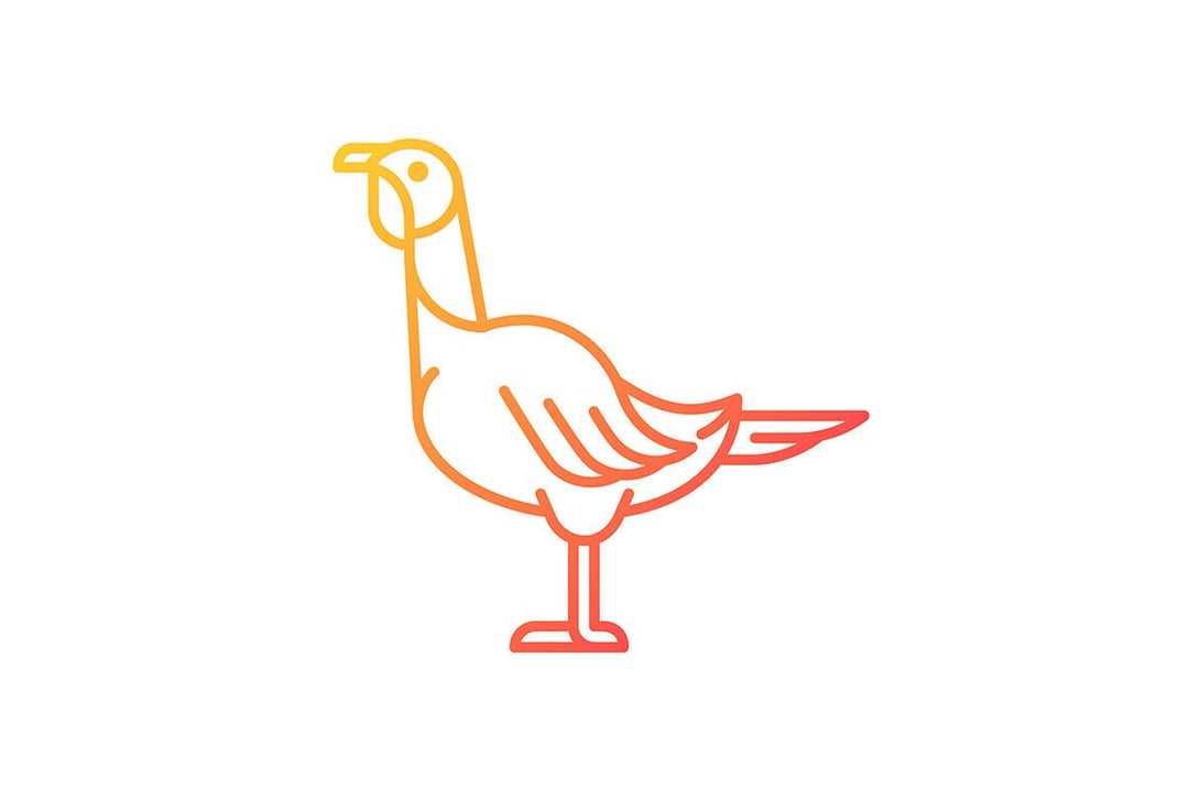 Farm birds for poultry gradient icons set for dark and light mode