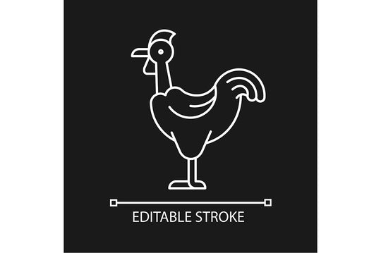 Farm birds for poultry linear icons set for dark and light mode