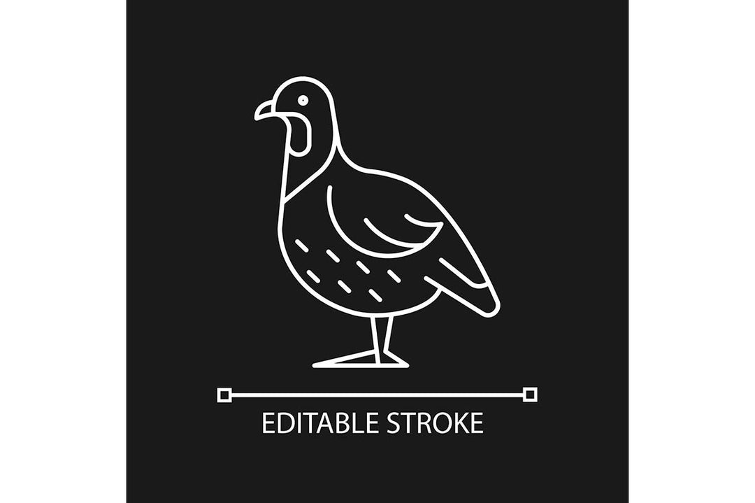 Farm birds for poultry linear icons set for dark and light mode