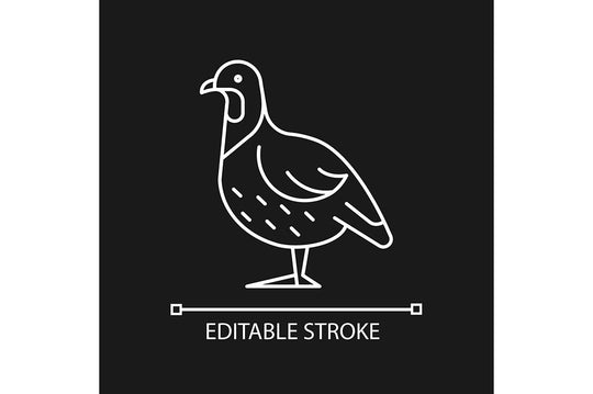 Farm birds for poultry linear icons set for dark and light mode