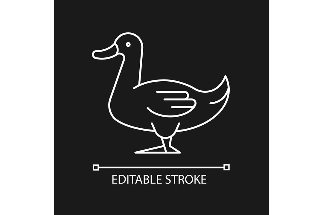 Farm birds for poultry linear icons set for dark and light mode