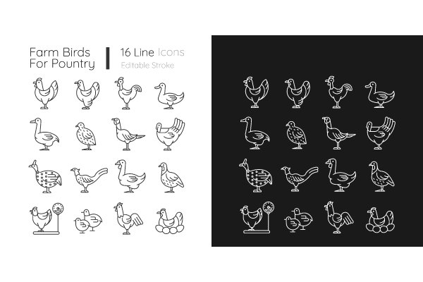 Farm birds for poultry linear icons set for dark and light mode