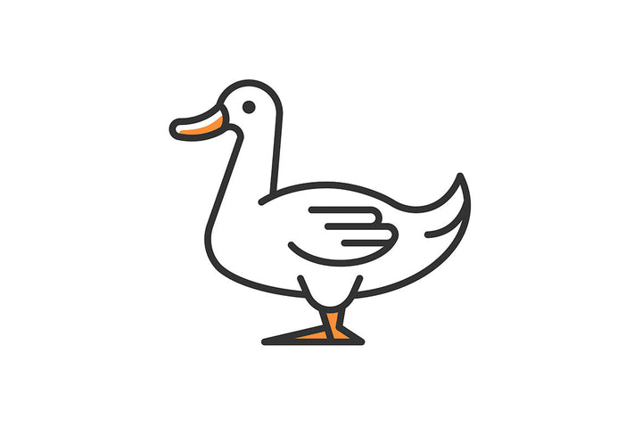 Farm birds for poultry RGB color icons set