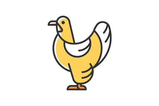 Farm birds for poultry RGB color icons set