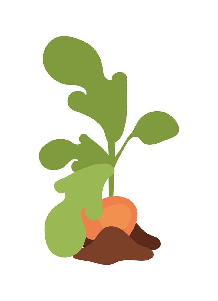 Farming flat vector illustrations set