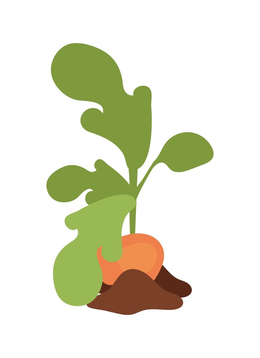 Farming flat vector illustrations set