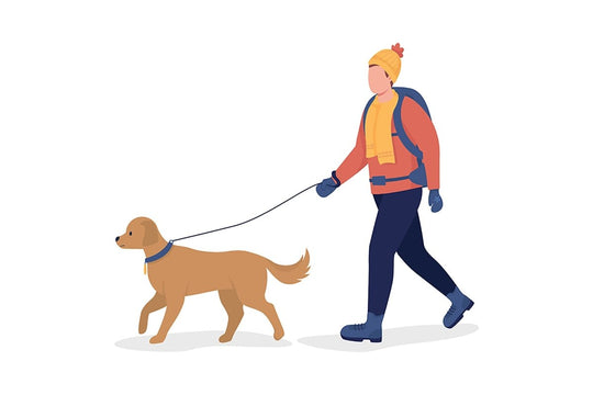 Hiking person color vector character set