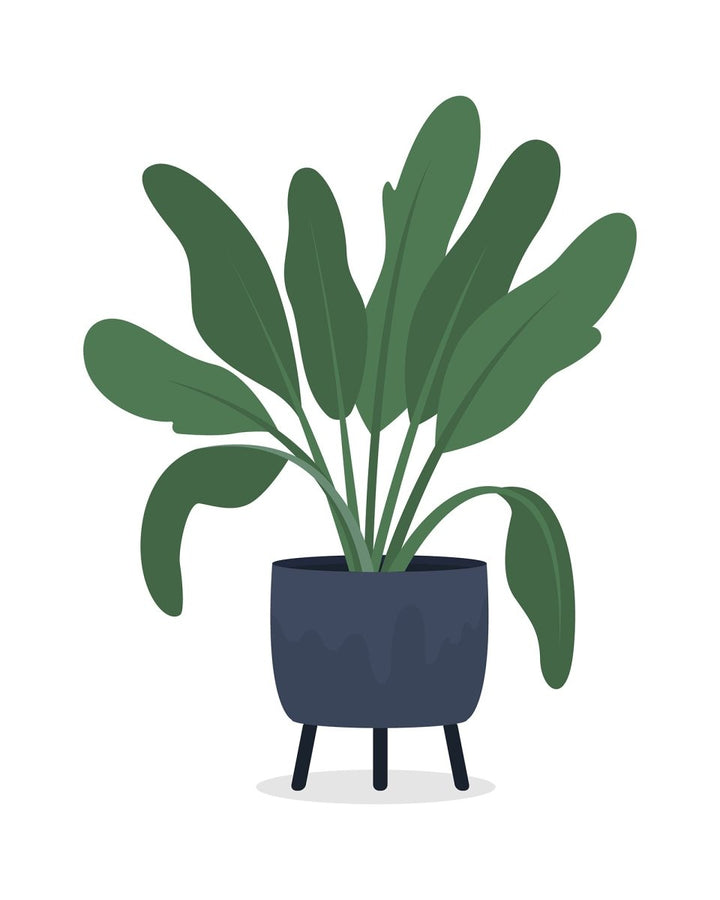 Home furniture 20 vector items bundle
