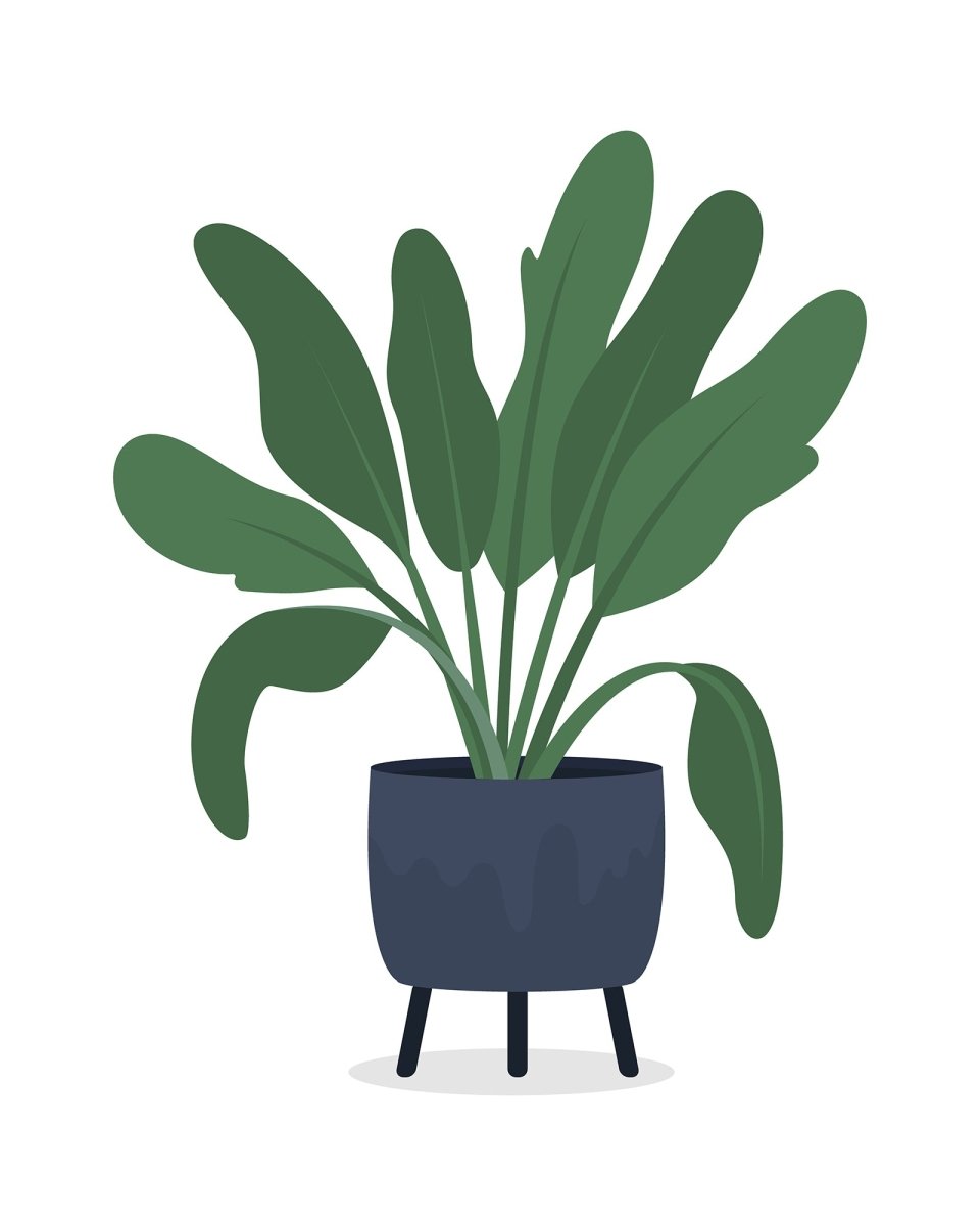 Home furniture 20 vector items bundle