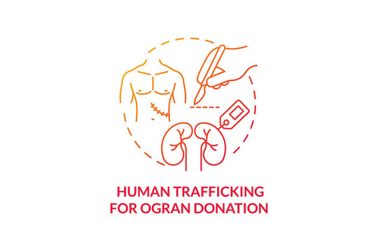 Human Smuggling Concept Icons Bundle
