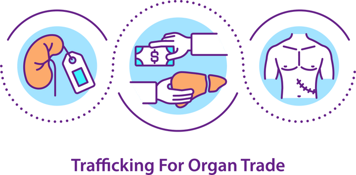 Human Trafficking Awareness Icons Bundle