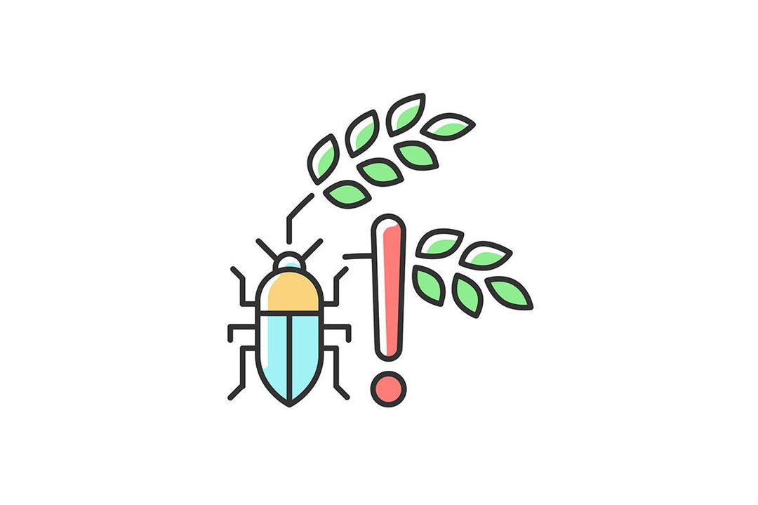 Hunger and food security RGB color icons set