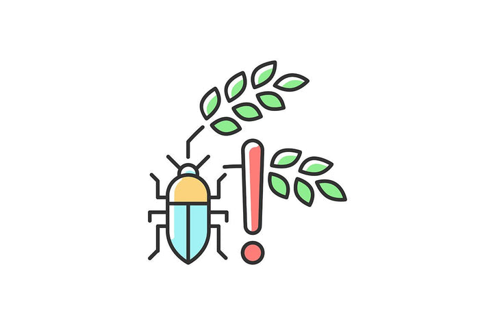 Hunger and food security RGB color icons set