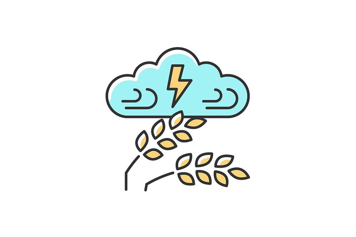 Hunger and food security RGB color icons set